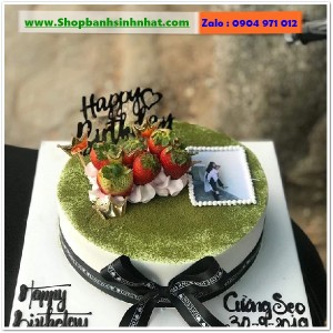 Bánh Sinh Nhật Trà Xanh - VL91